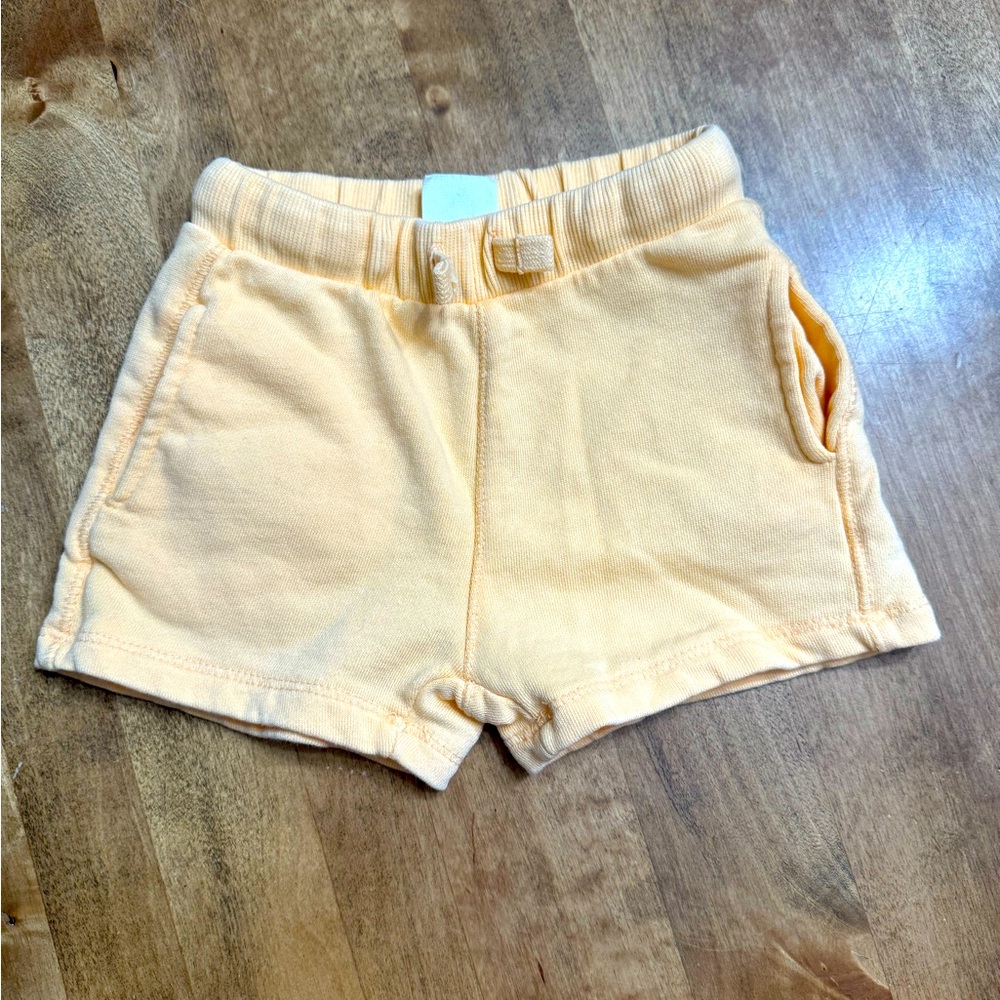 Zara shorts